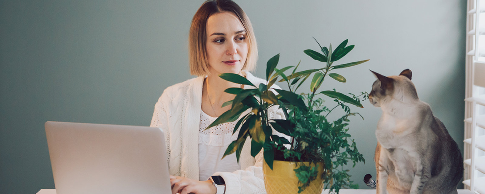 Webinář: Dopady pandemie na vybrané oblasti transferových cen